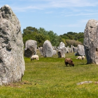 Carnac