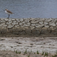 La Trinite-sur-Mer