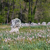 Carnac