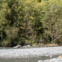 D985A near Saint Firmin / Le Sechier