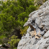 Gorges Du Verdon