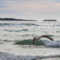 Six-Fours-les-Plages