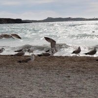 Six-Fours-les-Plages