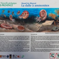 Rosso Ammonitico Veronese Formation, Dignes-les-Bains