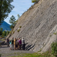 Rosso Ammonitico Veronese Formation, Dignes-les-Bains