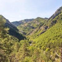 The Veledrome