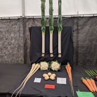 Buckinghamshire County Show