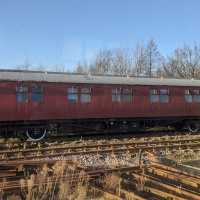 Bluebell Line