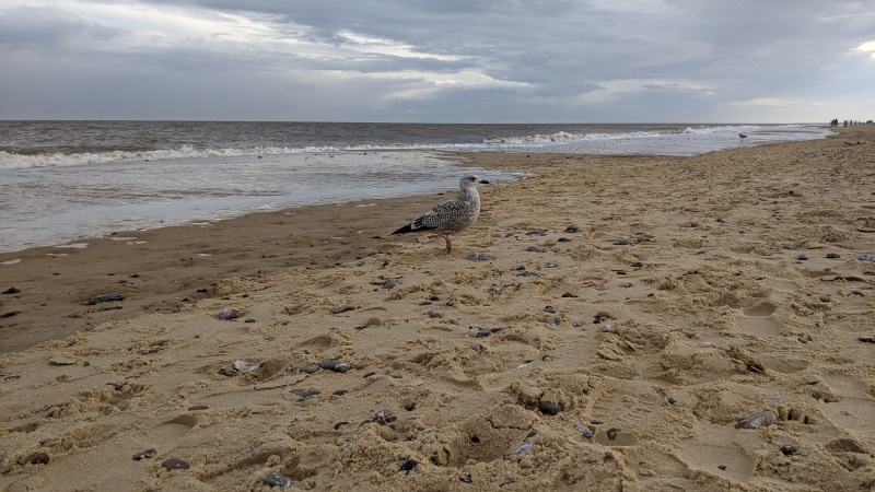 Stephen Birthday in Southwold