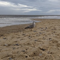 Stephen Birthday in Southwold