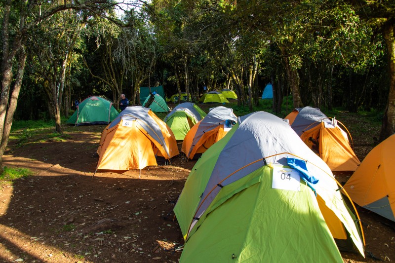 Trip to Kilimanjaro