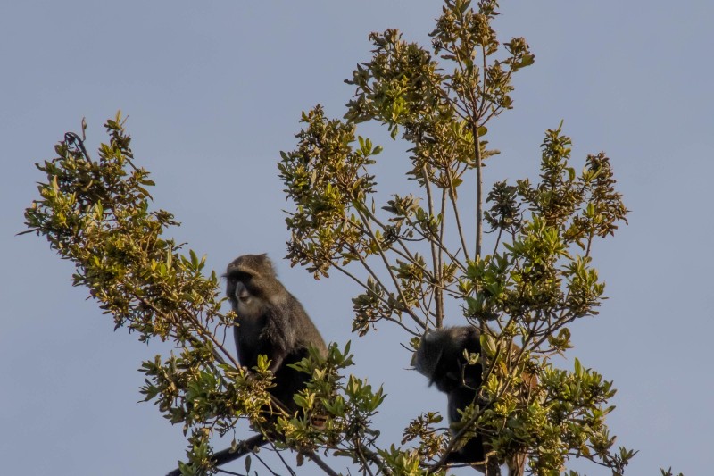 Trip to Kilimanjaro