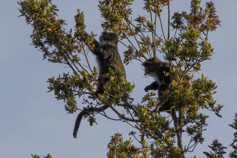 Trip to Kilimanjaro