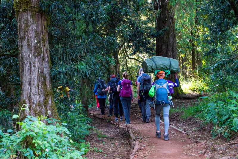 Trip to Kilimanjaro