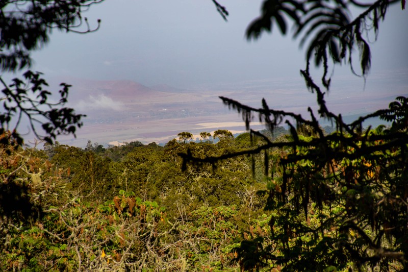 Trip to Kilimanjaro