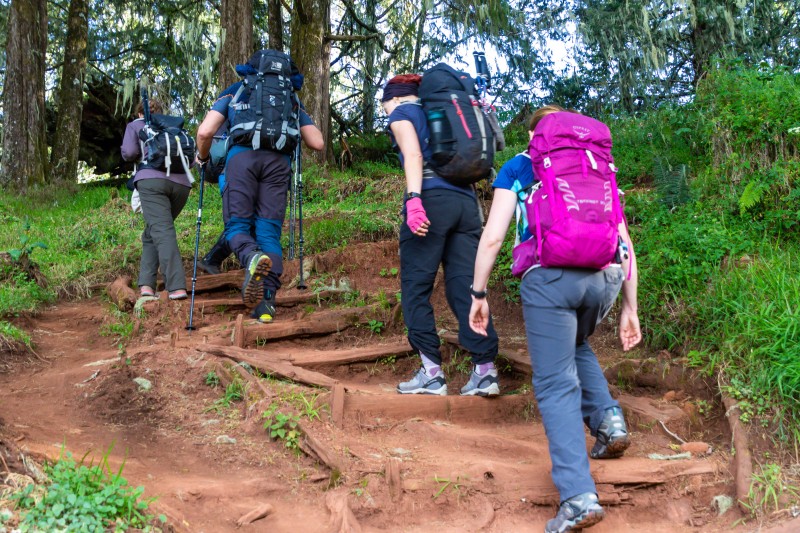 Trip to Kilimanjaro