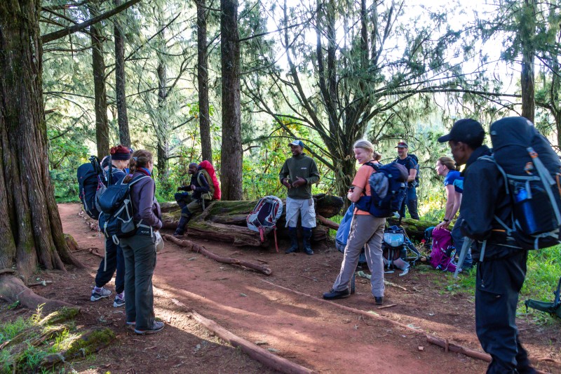 Trip to Kilimanjaro