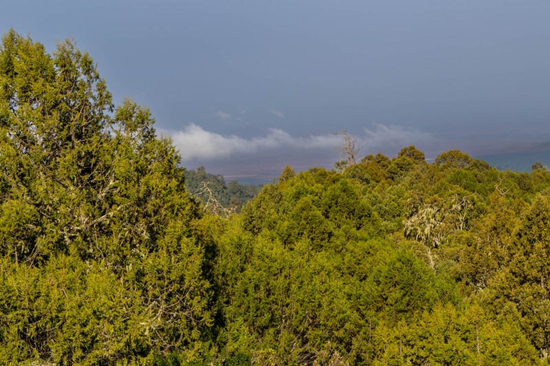 Trip to Kilimanjaro