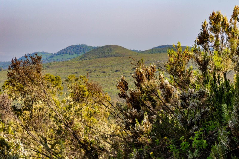 Trip to Kilimanjaro