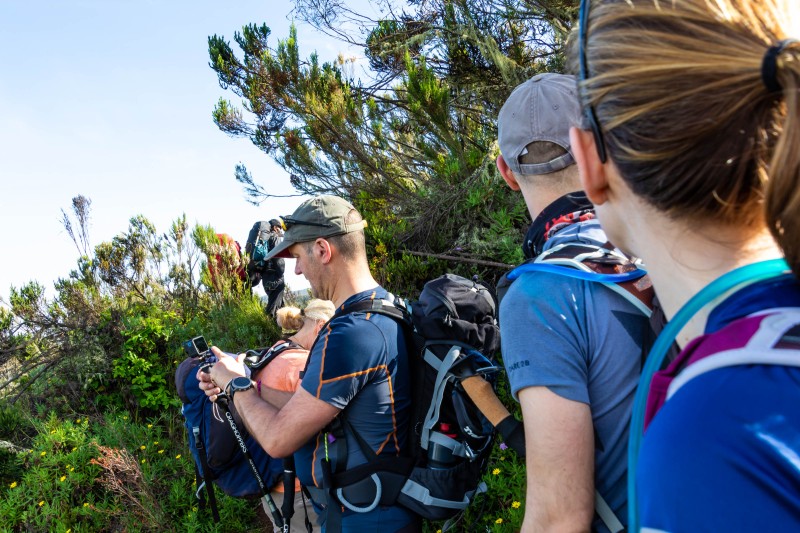 Trip to Kilimanjaro