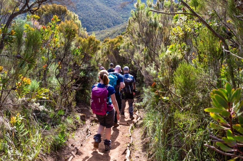 Trip to Kilimanjaro