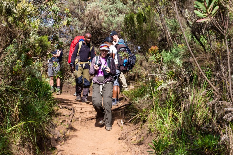 Trip to Kilimanjaro