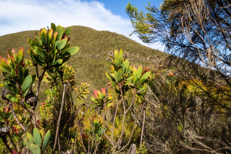 Trip to Kilimanjaro