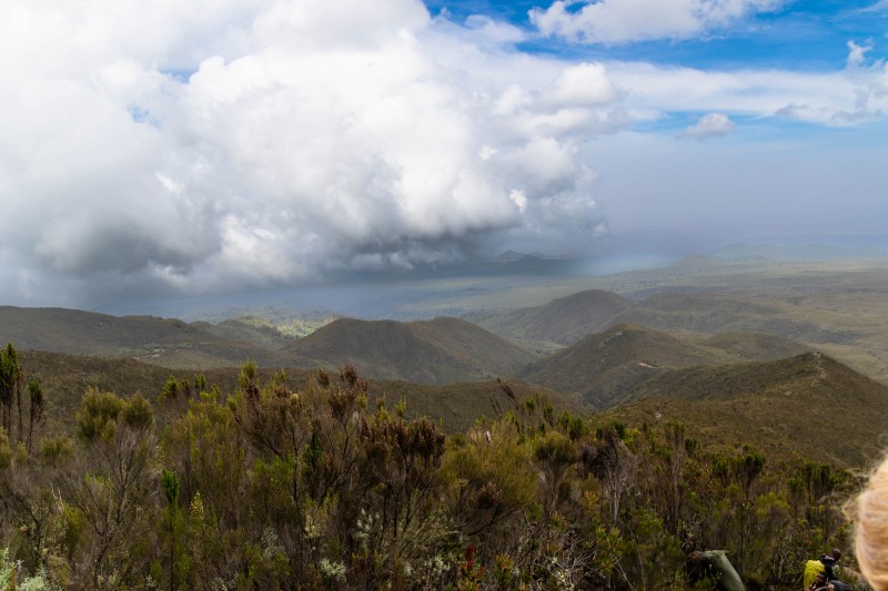 Trip to Kilimanjaro