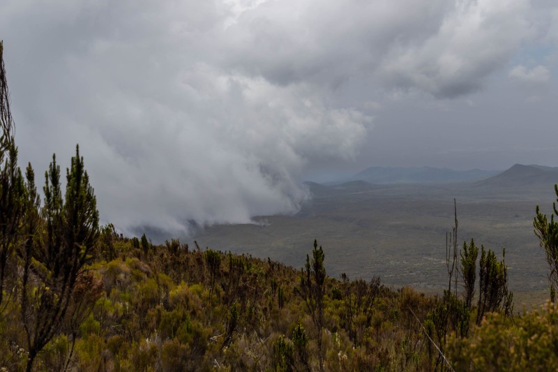 Trip to Kilimanjaro