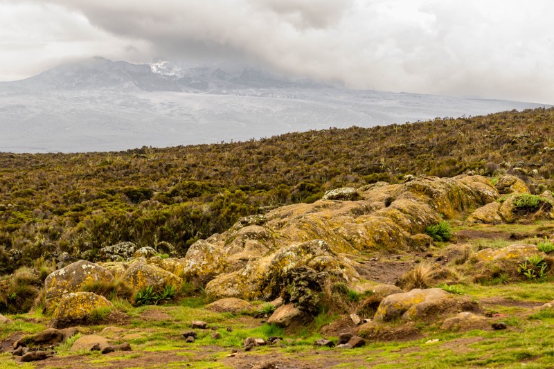 Trip to Kilimanjaro