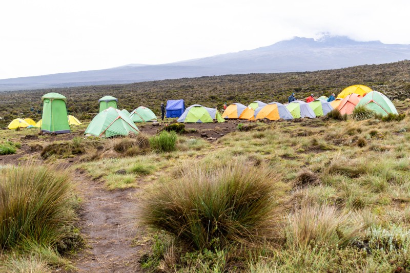 Trip to Kilimanjaro