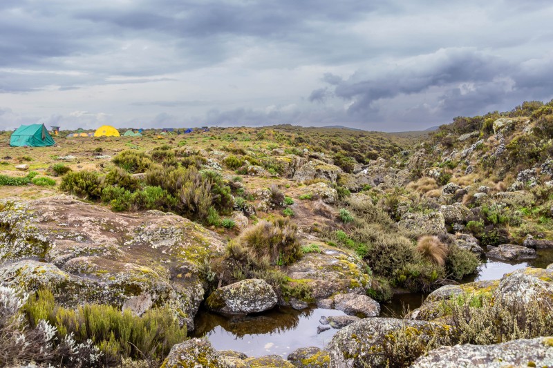 Trip to Kilimanjaro