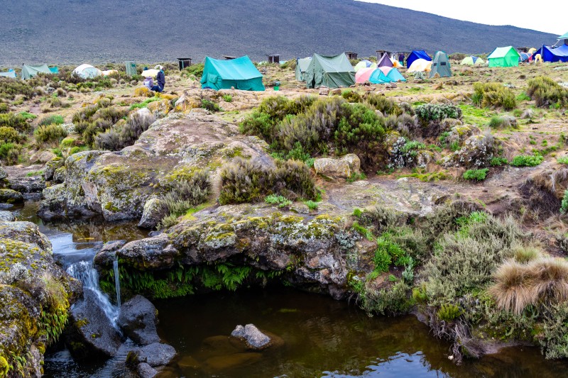 Trip to Kilimanjaro