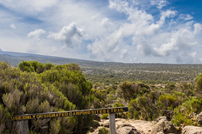 Trip to Kilimanjaro