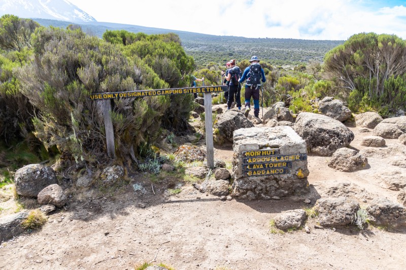 Trip to Kilimanjaro