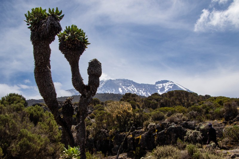 Trip to Kilimanjaro