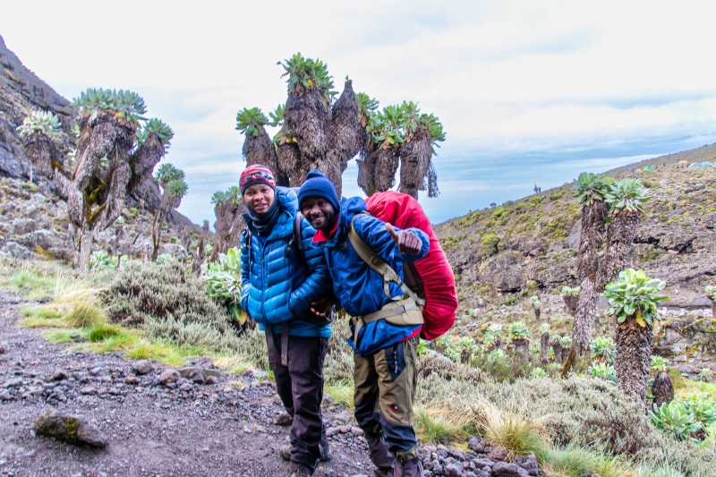 Trip to Kilimanjaro