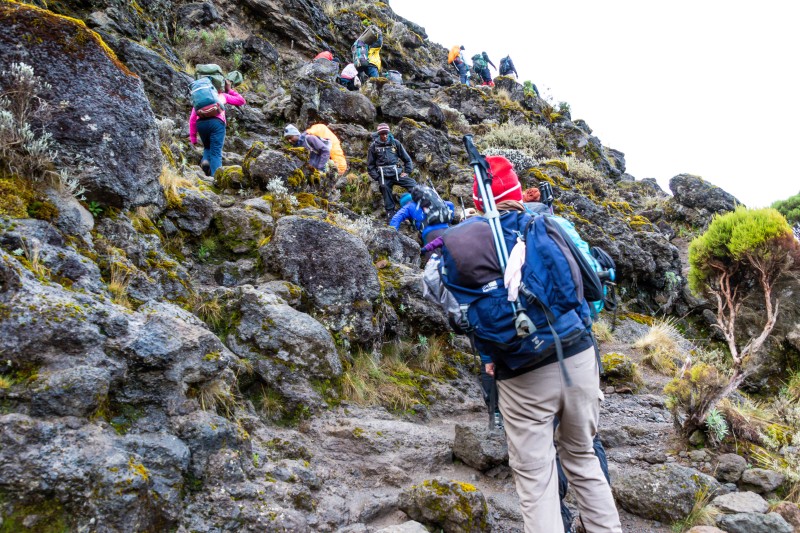 Trip to Kilimanjaro