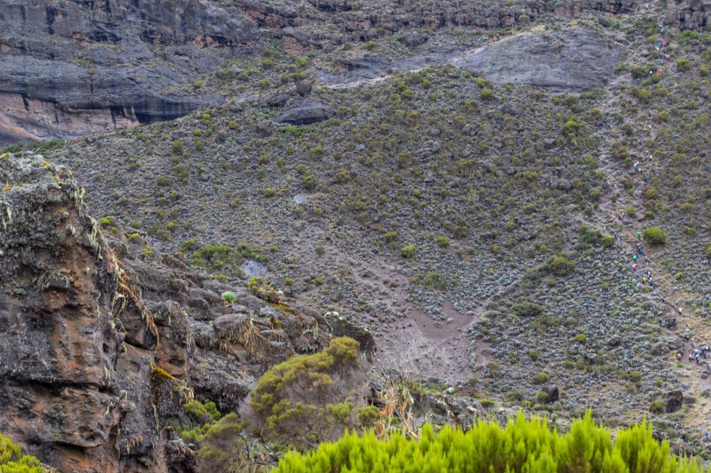 Trip to Kilimanjaro