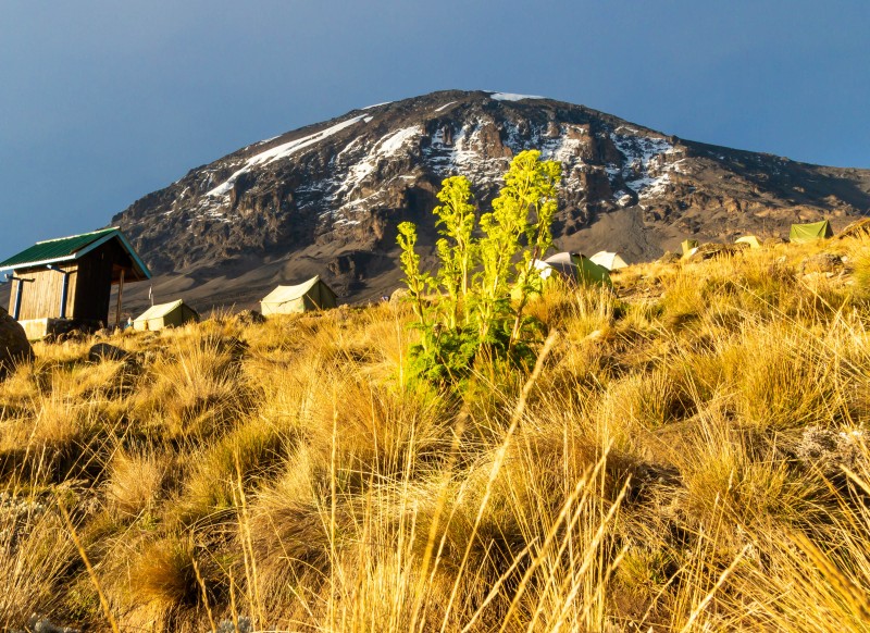 Trip to Kilimanjaro