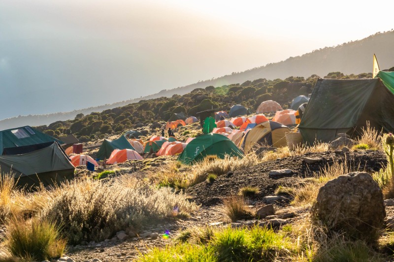 Trip to Kilimanjaro