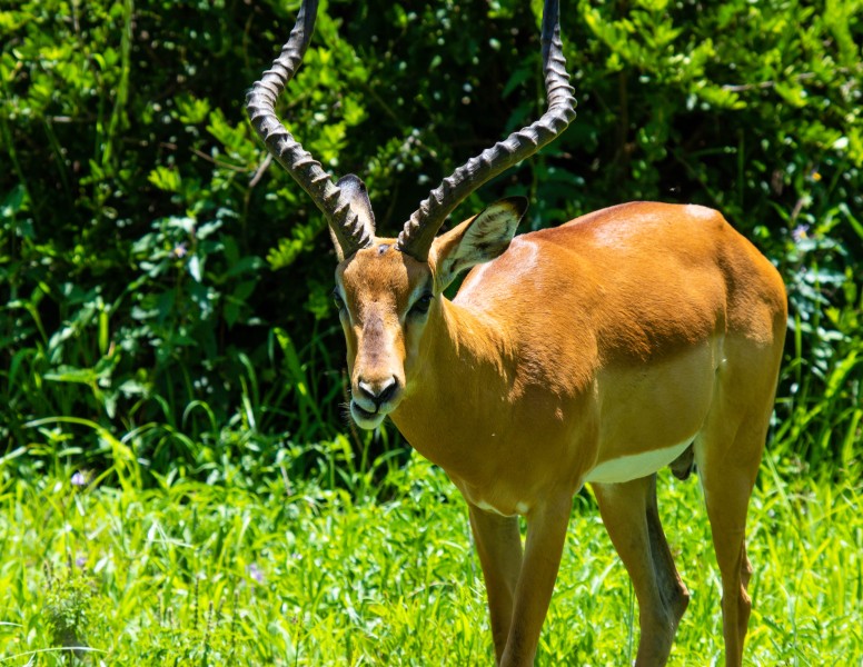 Tarangire National Park