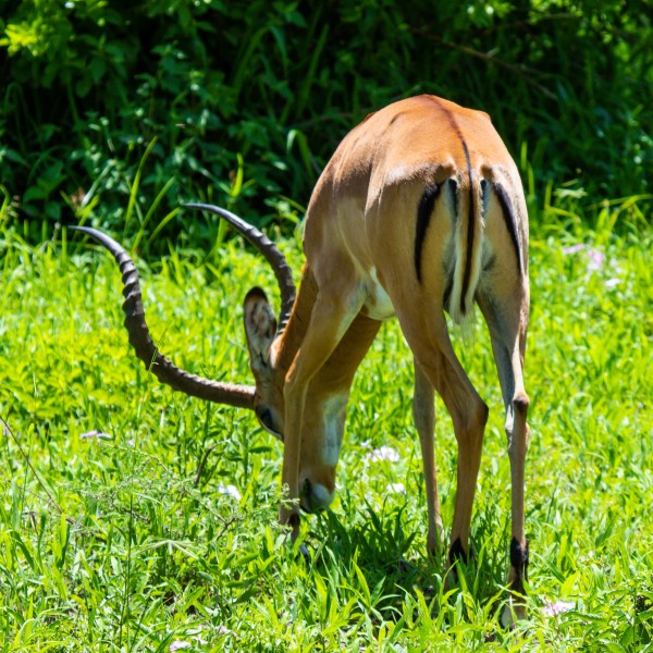 Tarangire National Park