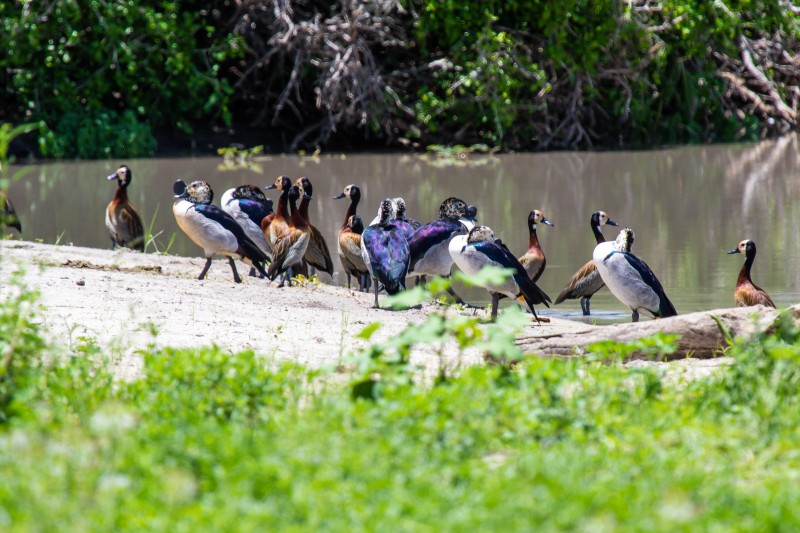 Tarangire National Park