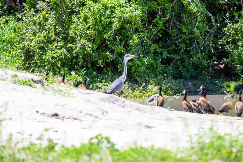 Tarangire National Park