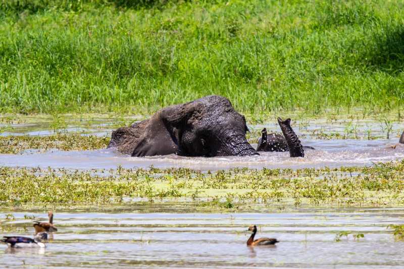 Tarangire National Park