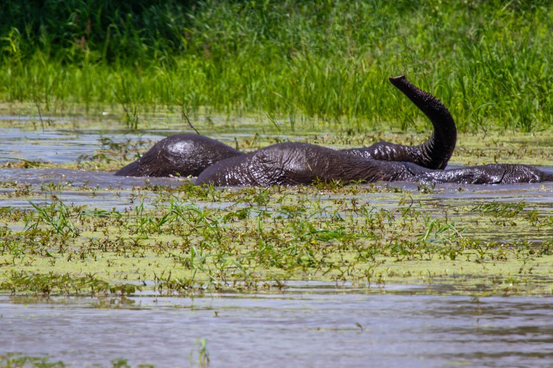 Tarangire National Park