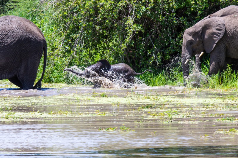 Tarangire National Park