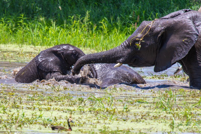 Tarangire National Park