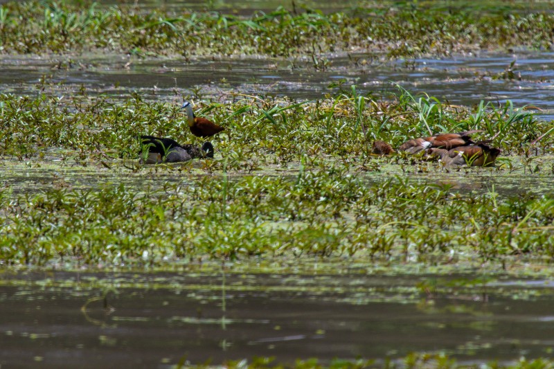 Tarangire National Park